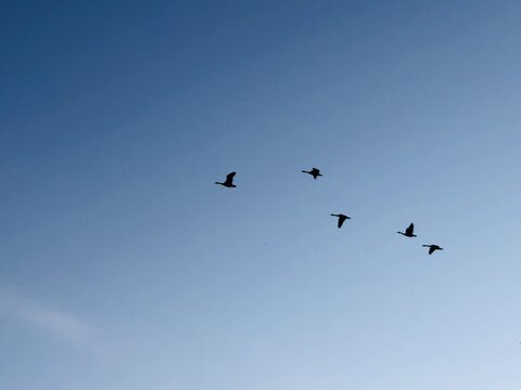 Travel photograph 1