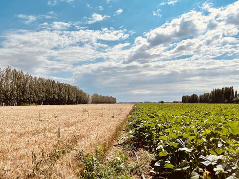 Travel photograph 17